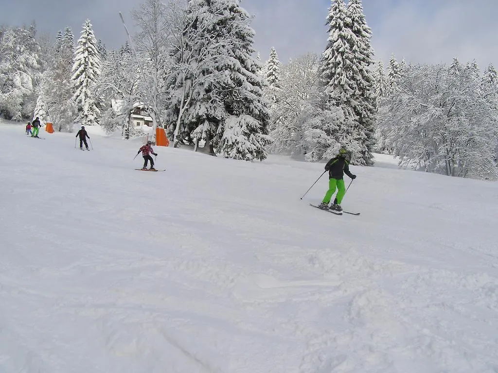 U Novotnych Guest House Spindleruv Mlyn